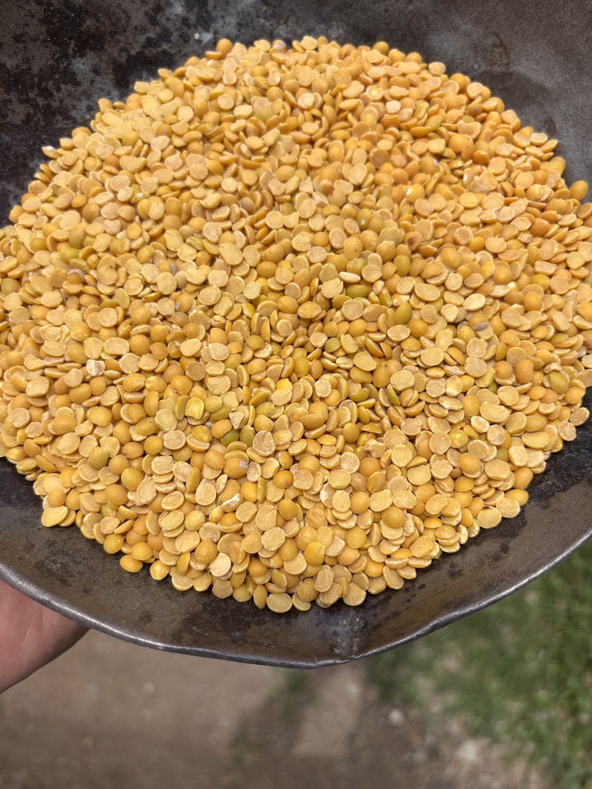 Eco grade Toor Dal